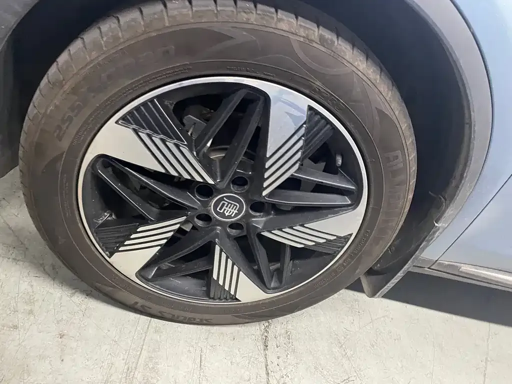 BYD Tang New Energy 2023 из CN, фото 10