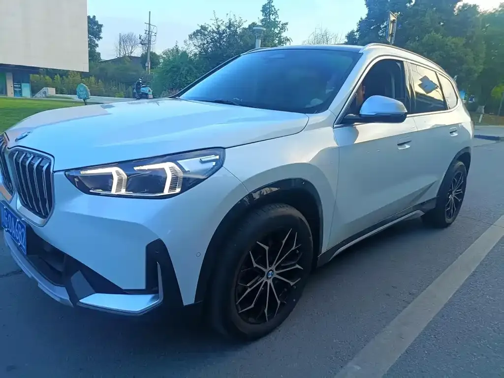 BMW X1 — фото 1