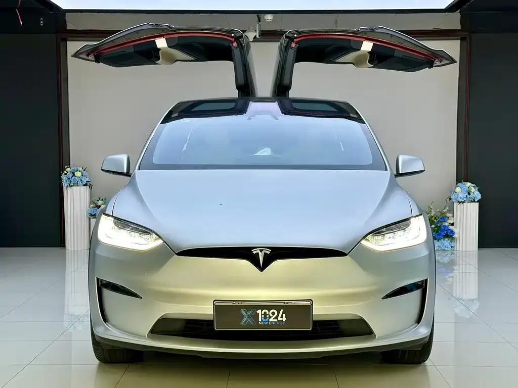 Tesla Model X 2023 из CN, фото 5