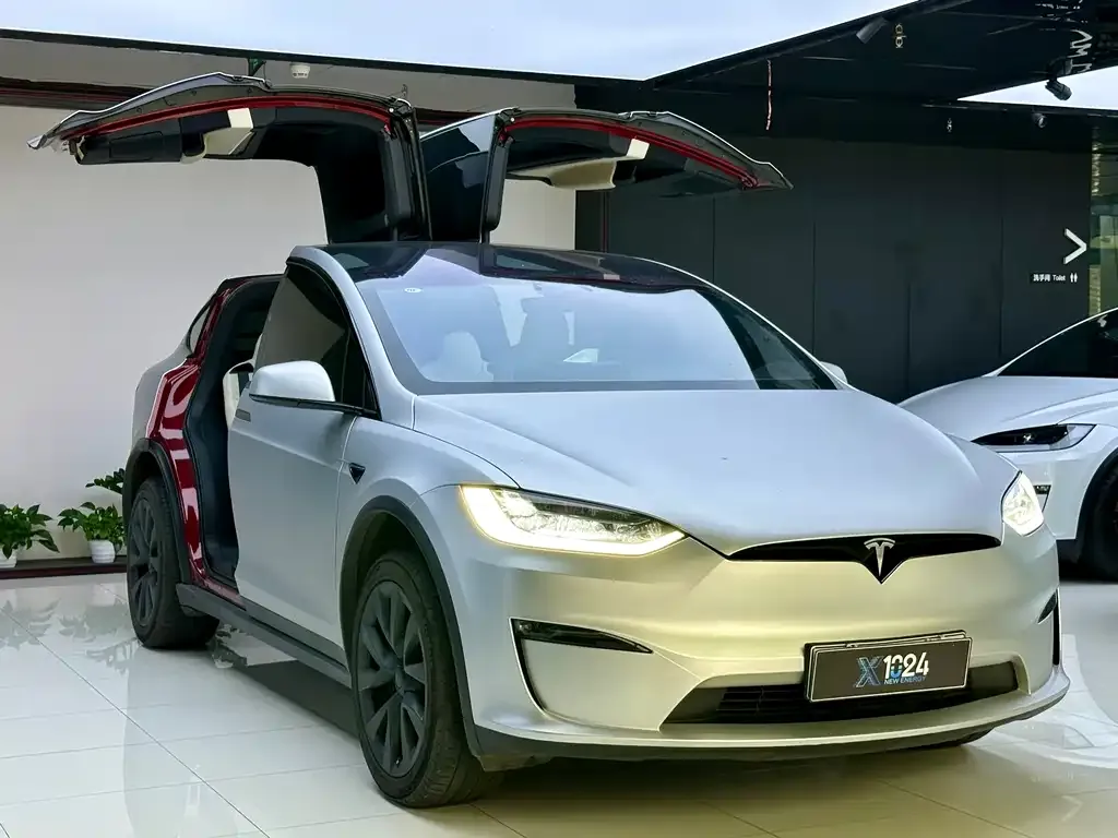 Tesla Model X 2023 из CN, фото 4