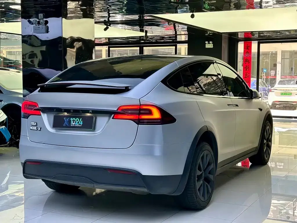 Tesla Model X 2023 из CN, фото 9