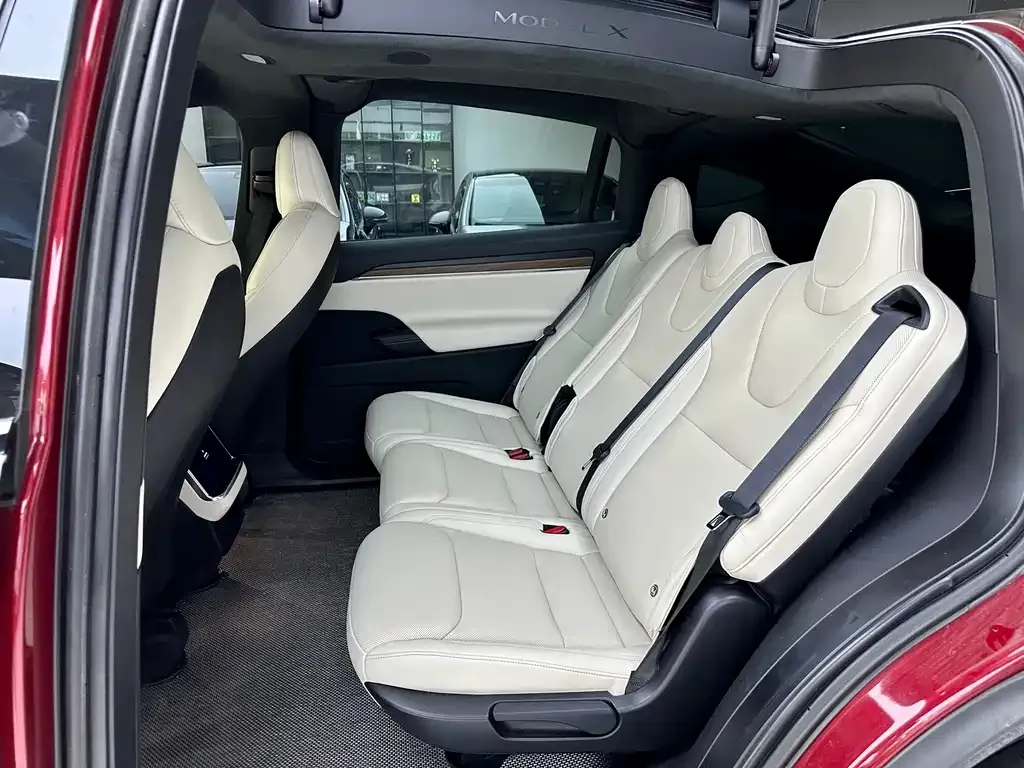 Tesla Model X 2023 из CN, фото 2