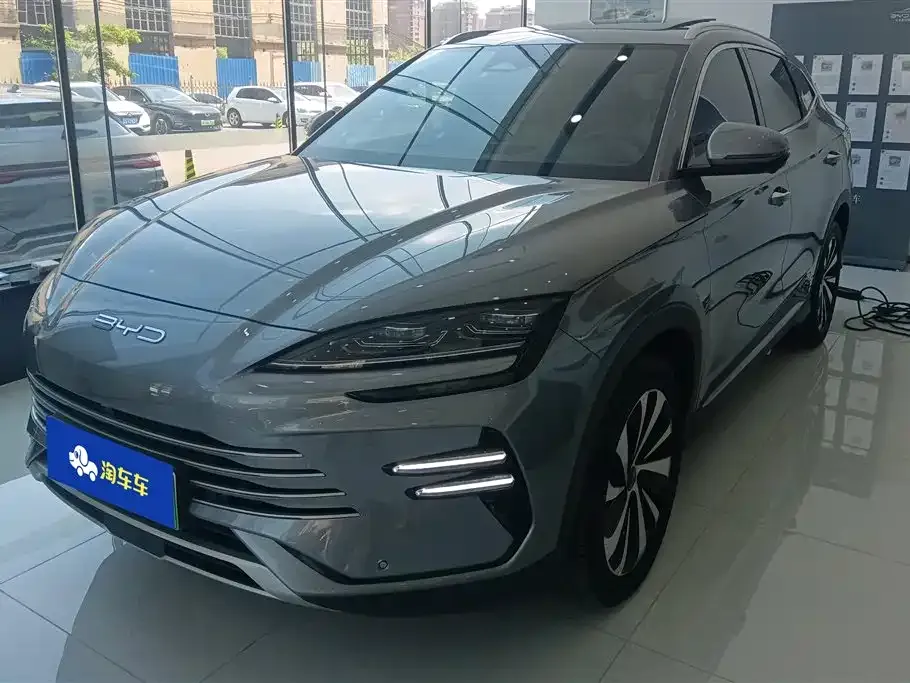 BYD PLUS New Energy — фото 1