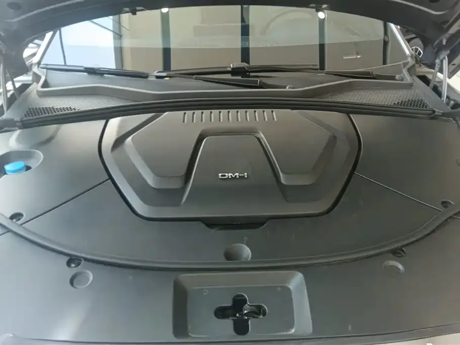 BYD PLUS New Energy — фото 10