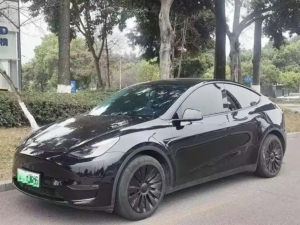 Tesla Model Y — фото 1