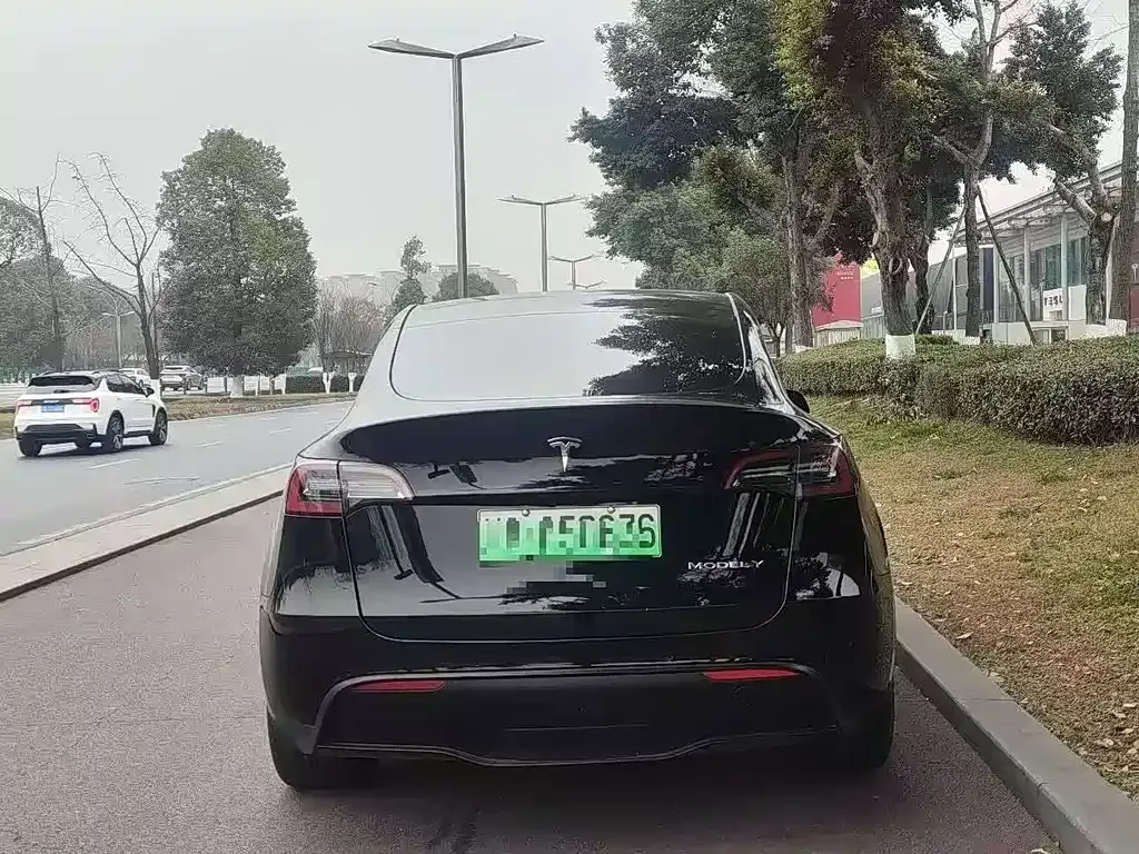 Tesla Model Y — фото 5