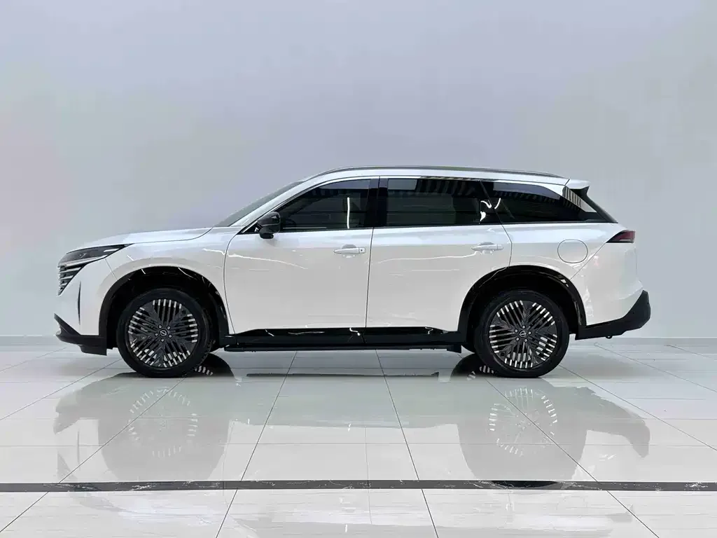 Nissan Teramont 2024 из CN, фото 3