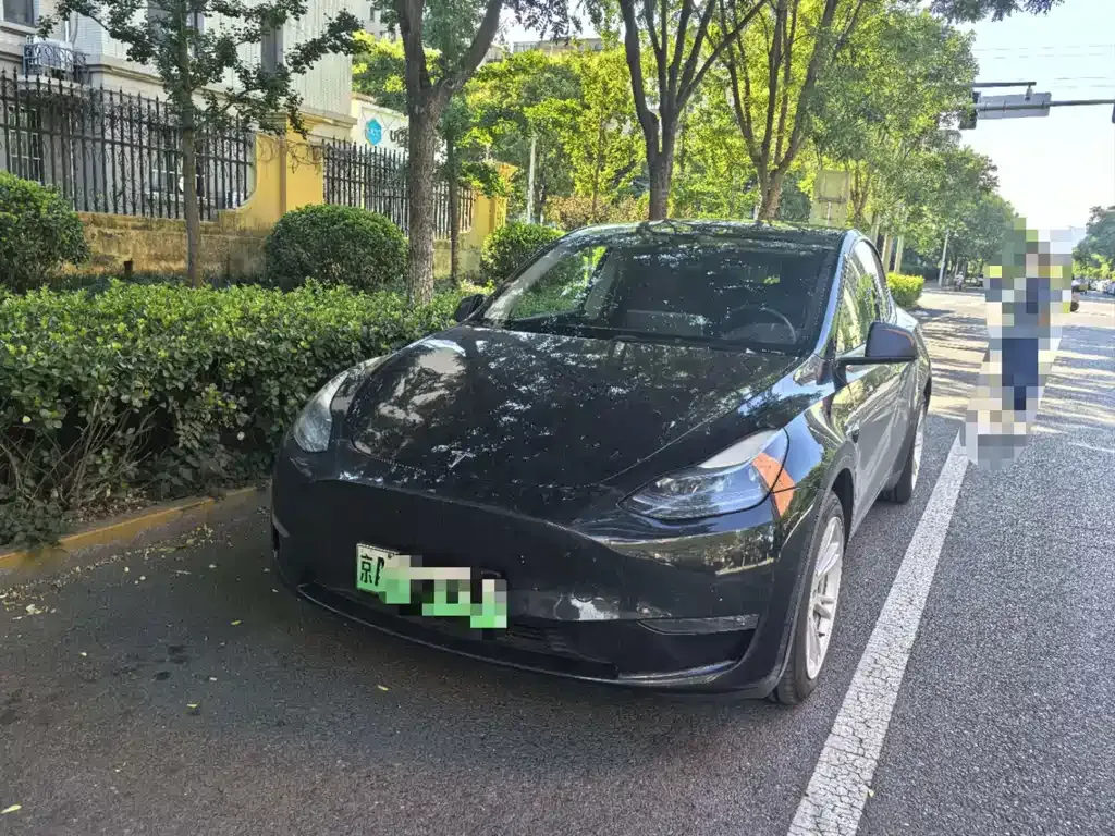 Tesla Model Y — фото 1