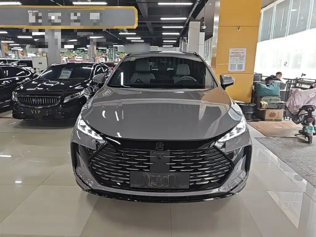 BYD Tang New Energy — фото 10