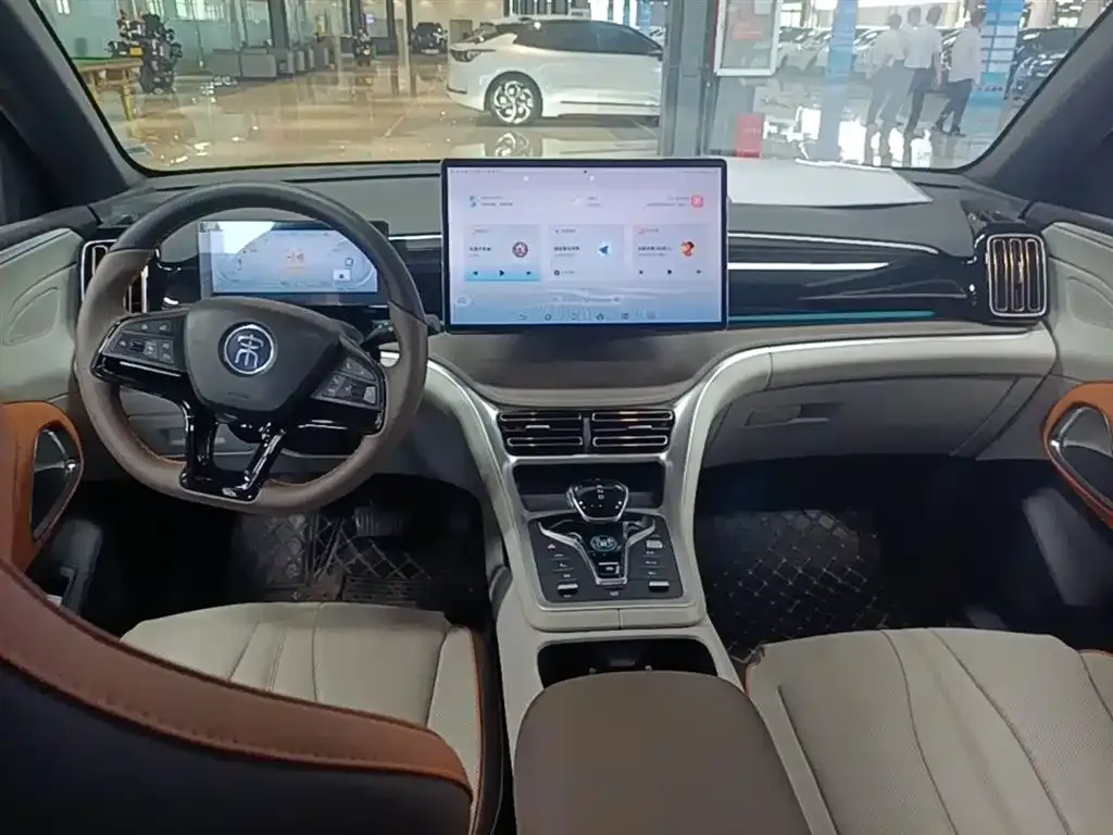 BYD Pro New Energy — фото 10