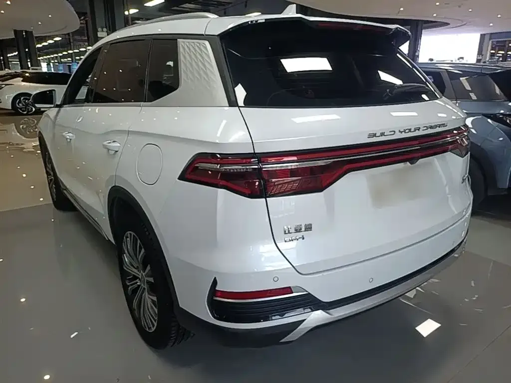 BYD Pro New Energy — фото 2