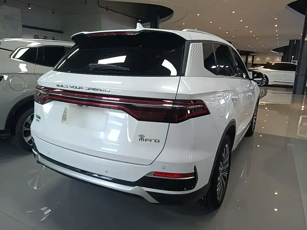 BYD Pro New Energy — фото 5