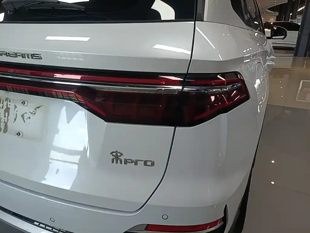 BYD Pro New Energy — фото 3