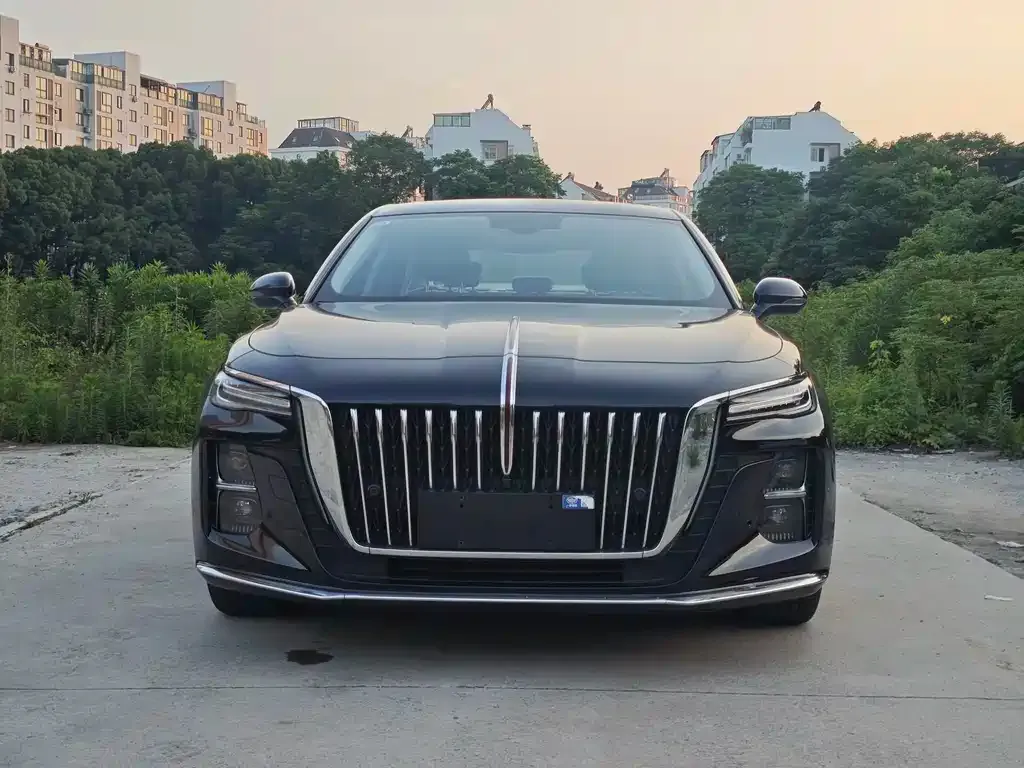 Hongqi H5 2023 из CN, фото 9