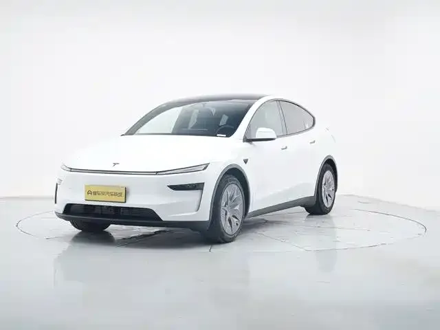Tesla Model Y L — фото 1