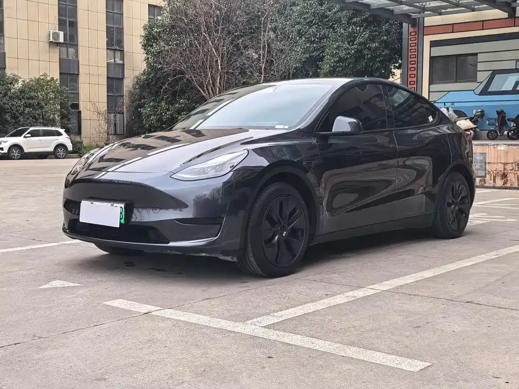 Tesla Model Y — фото 1