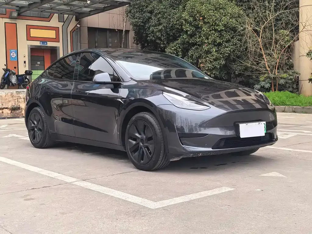 Tesla Model Y — фото 5