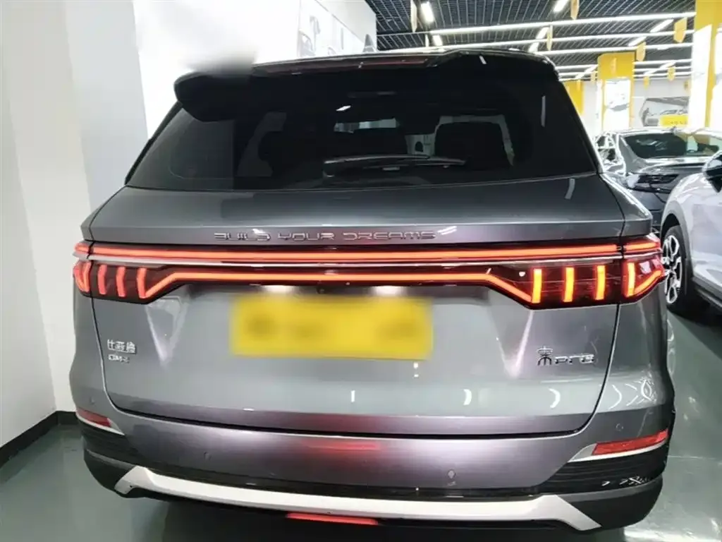 BYD Pro New Energy — фото 3