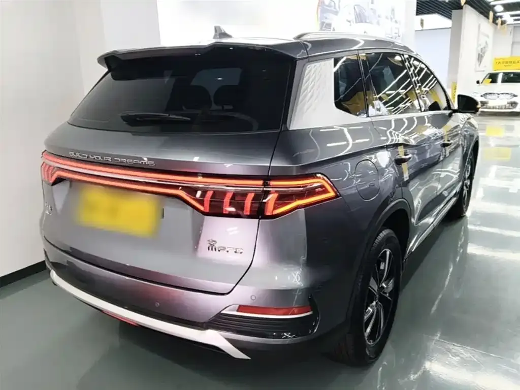 BYD Pro New Energy — фото 10