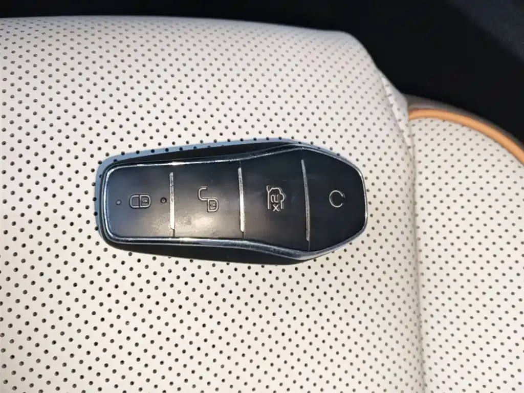 BYD Pro New Energy — фото 6