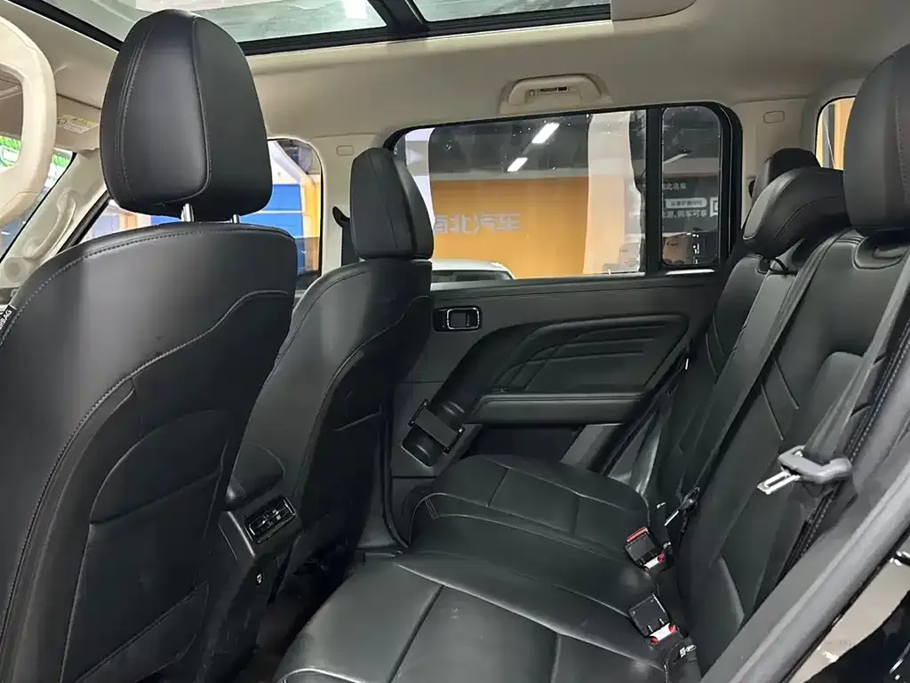 Haval Menglong New Energy 2024 из CN, фото 10