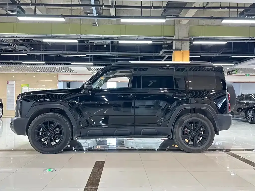 Haval Menglong New Energy 2024 из CN, фото 4