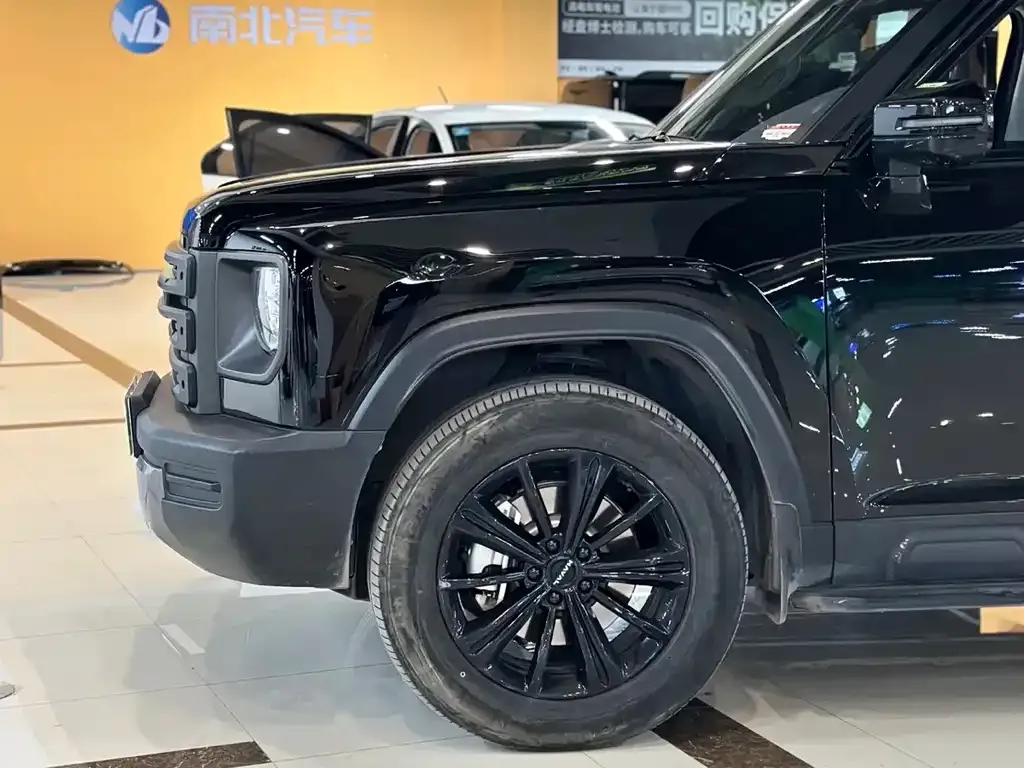 Haval Menglong New Energy 2024 из CN, фото 7