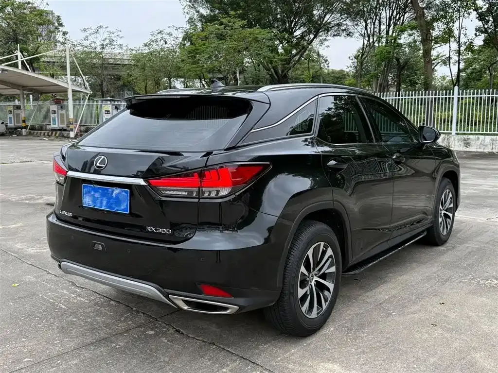 Lexus RX — фото 5