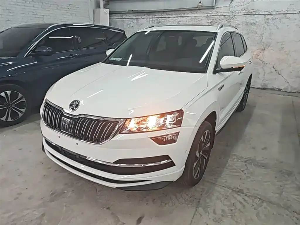 Skoda Karoq — фото 5