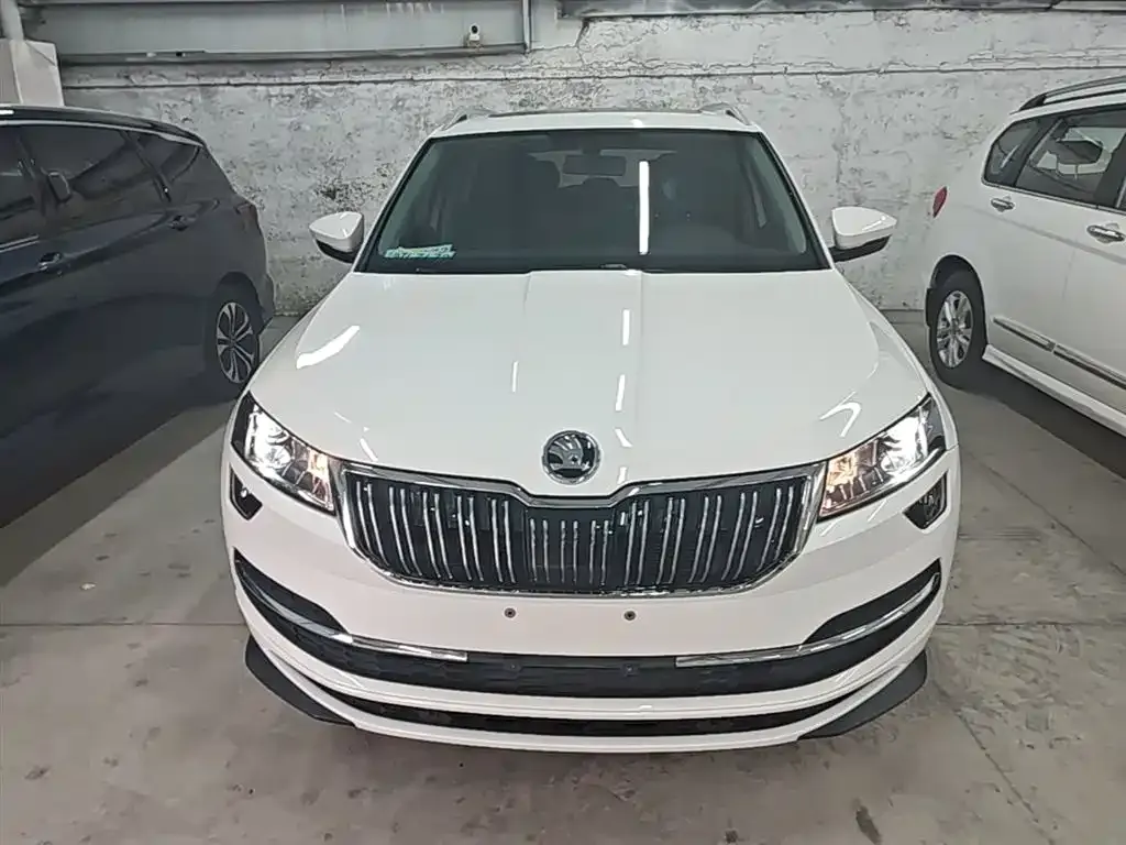 Skoda Karoq — фото 7