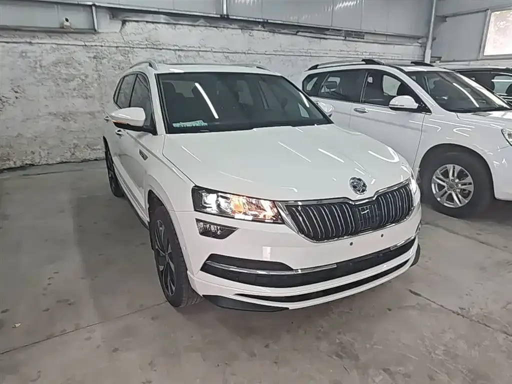 Skoda Karoq — фото 9