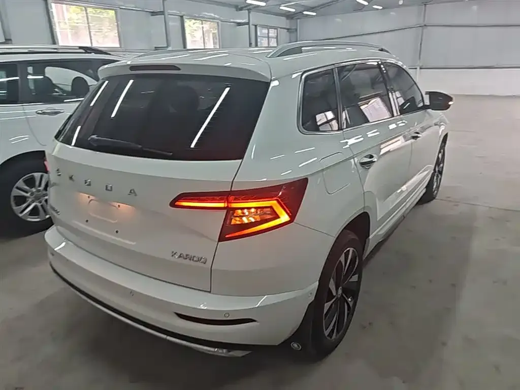 Skoda Karoq — фото 6