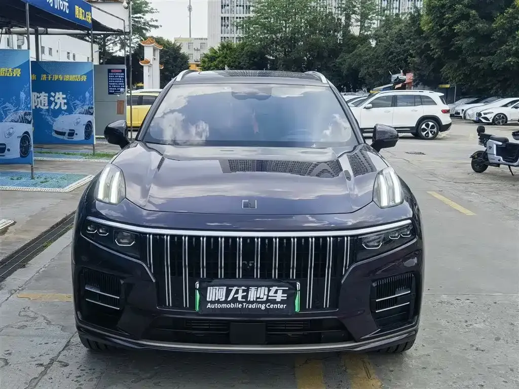 Lynk & Co 09 PHEV 2022 из CN, фото 5