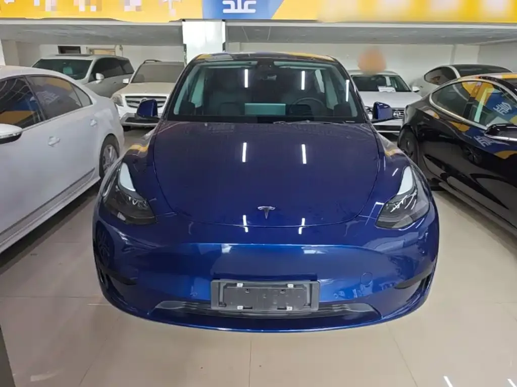 Tesla Model Y — фото 10