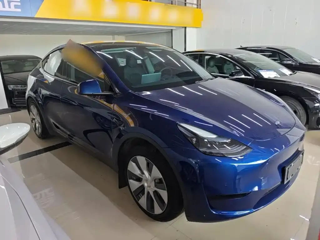 Tesla Model Y — фото 9