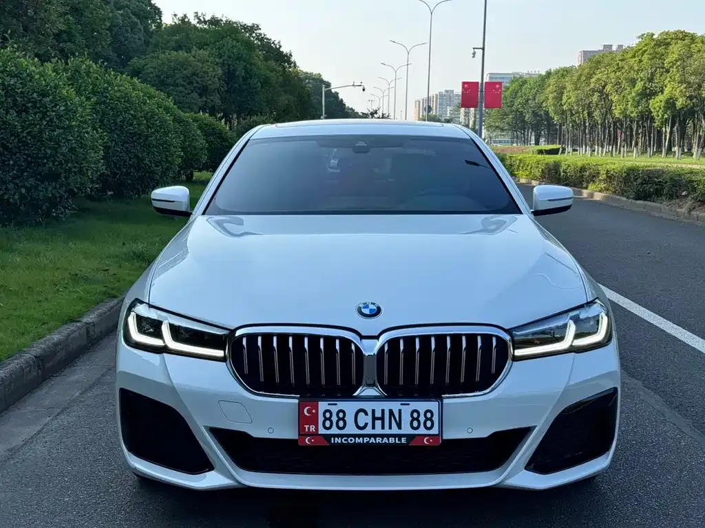 BMW 5 Series 2022 из CN, фото 6