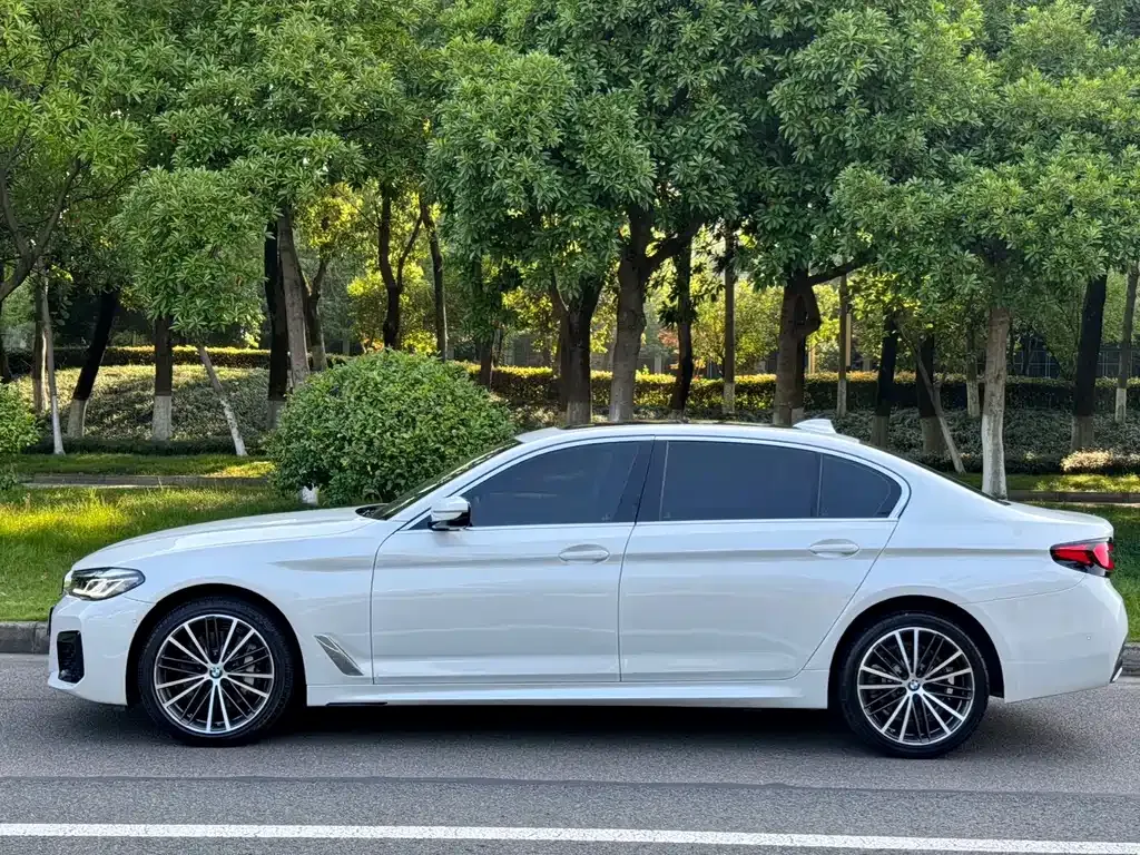 BMW 5 Series 2022 из CN, фото 10