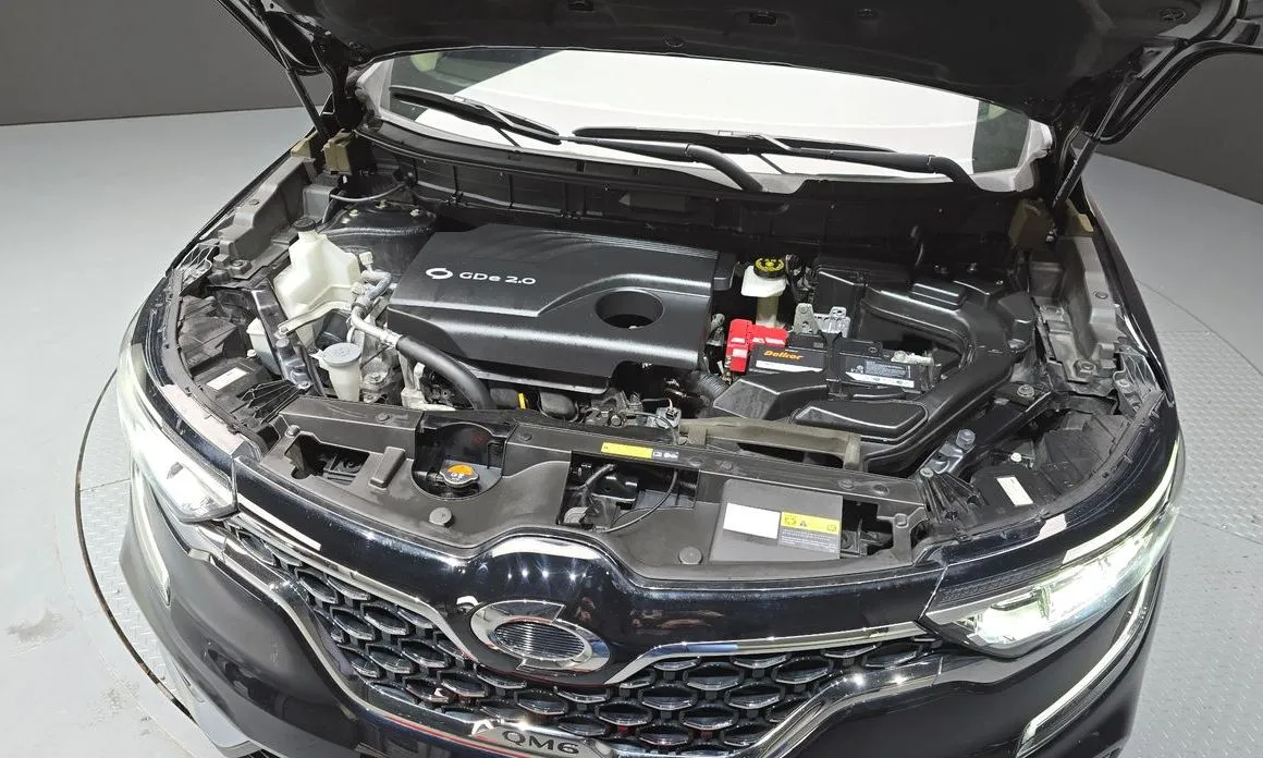 Renault Korea (Samsung) QM6 2022 из KR, фото 9