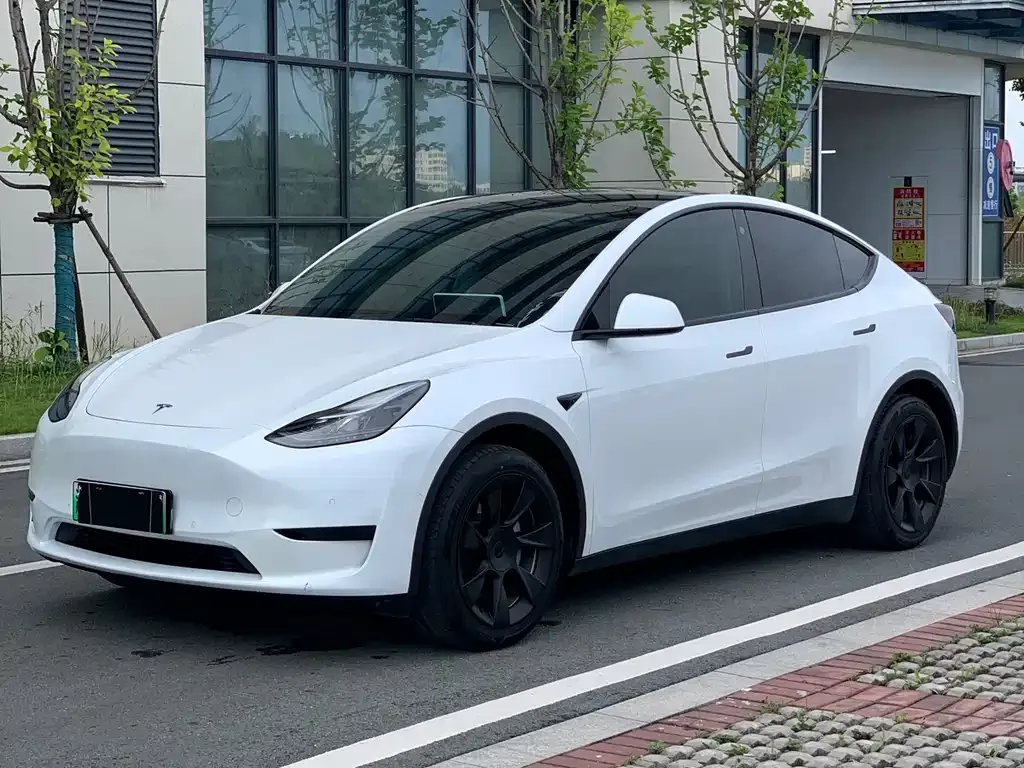 Tesla Model Y — фото 1