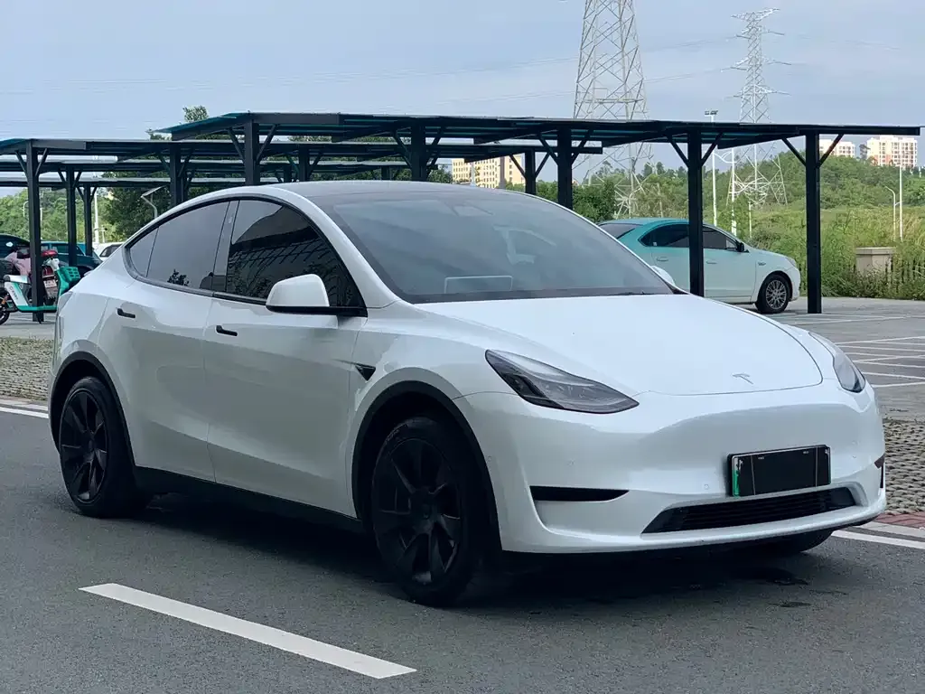 Tesla Model Y — фото 6