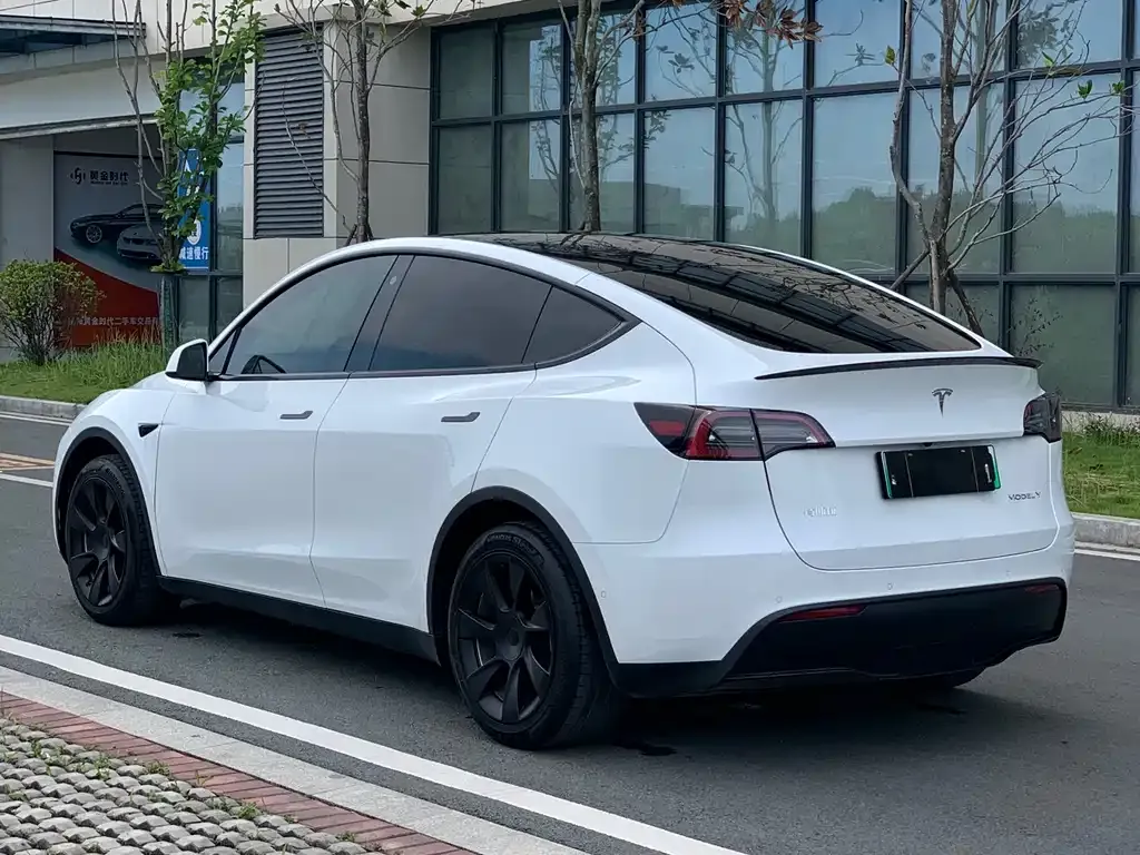 Tesla Model Y — фото 10