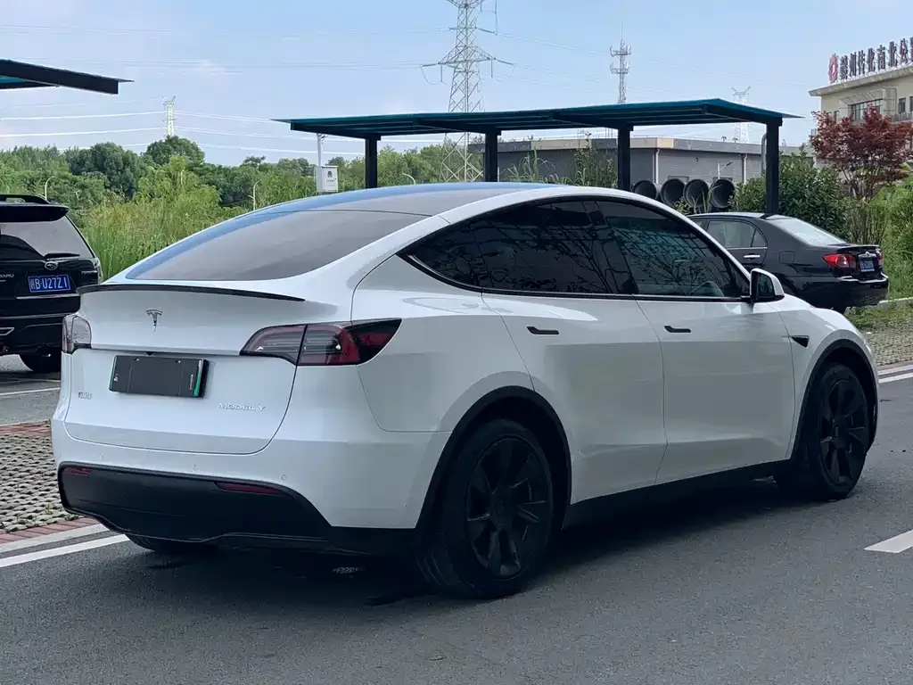 Tesla Model Y — фото 8