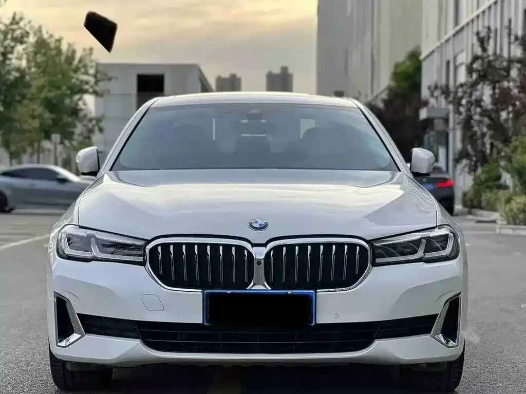 BMW 5 Series 2021 из CN, фото 7