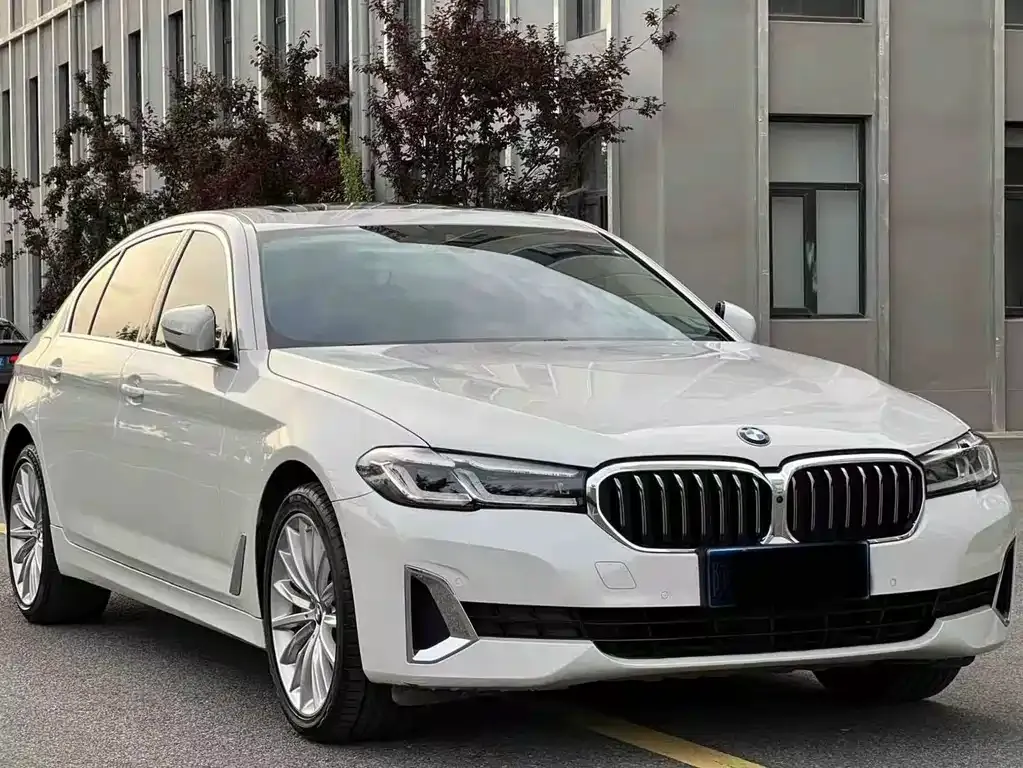 BMW 5 Series 2021 из CN, фото 10