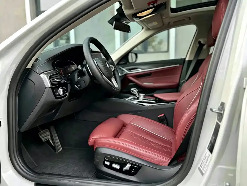 BMW 5 Series 2021 из CN, фото 5
