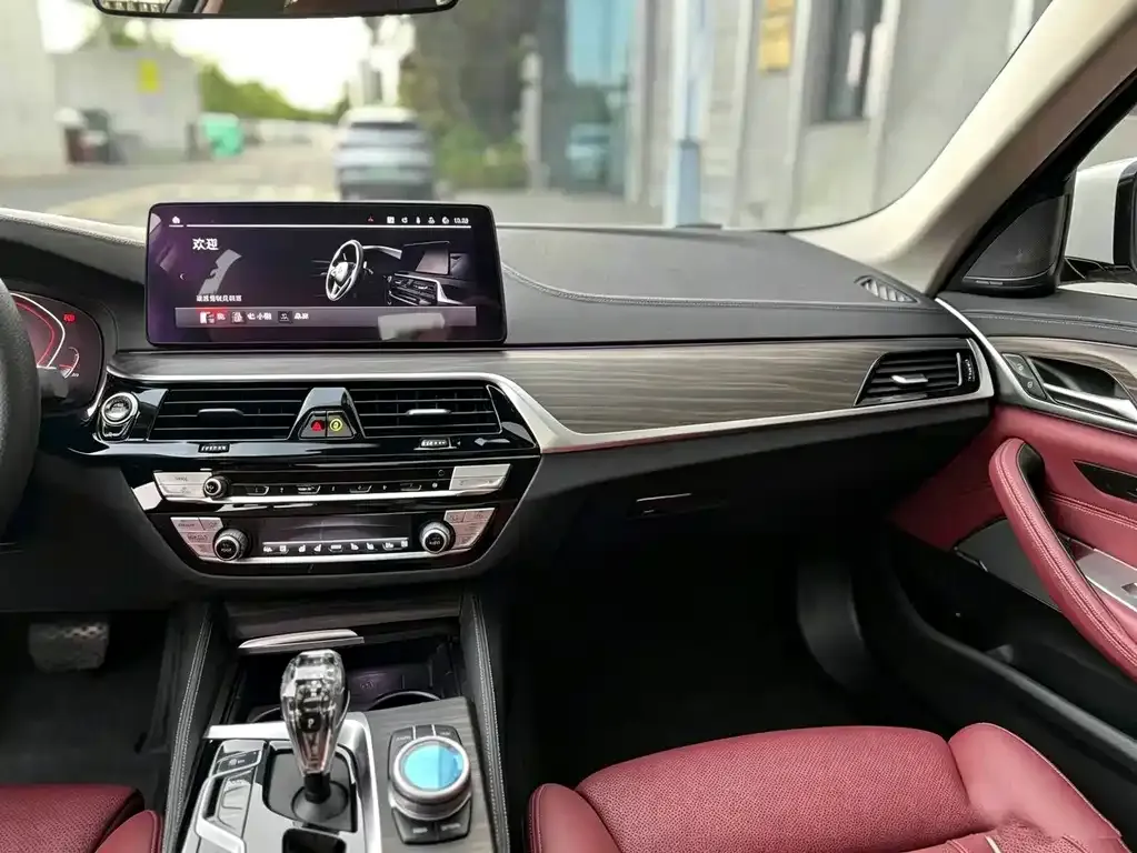 BMW 5 Series 2021 из CN, фото 3