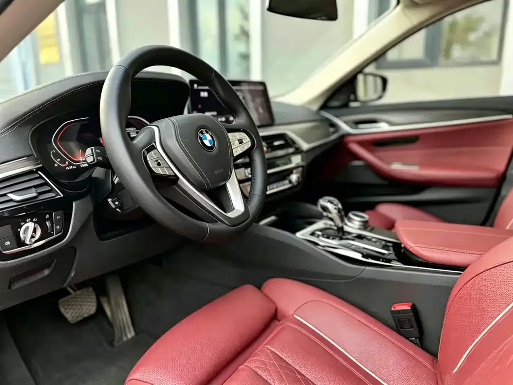 BMW 5 Series 2021 из CN, фото 9