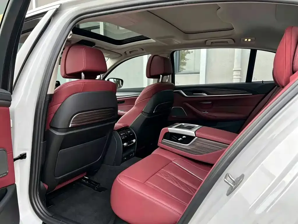 BMW 5 Series 2021 из CN, фото 6