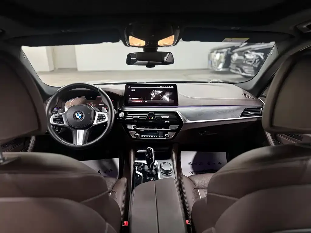 BMW 5 Series 2021 из CN, фото 6