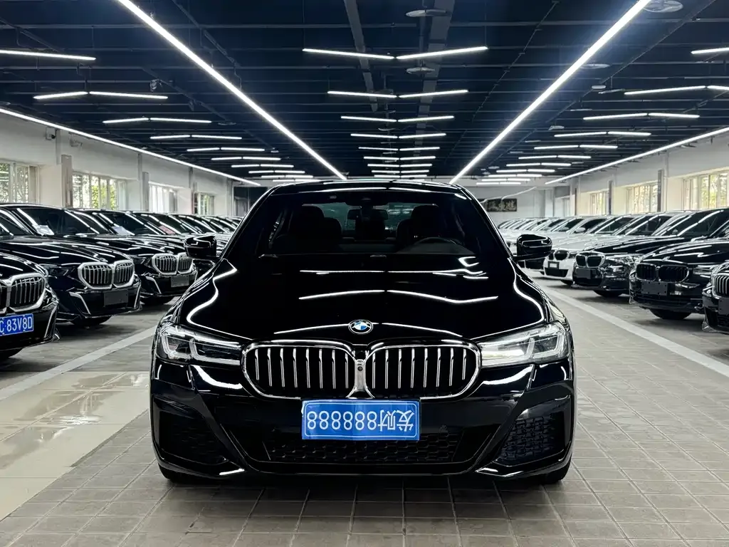 BMW 5 Series 2021 из CN, фото 4
